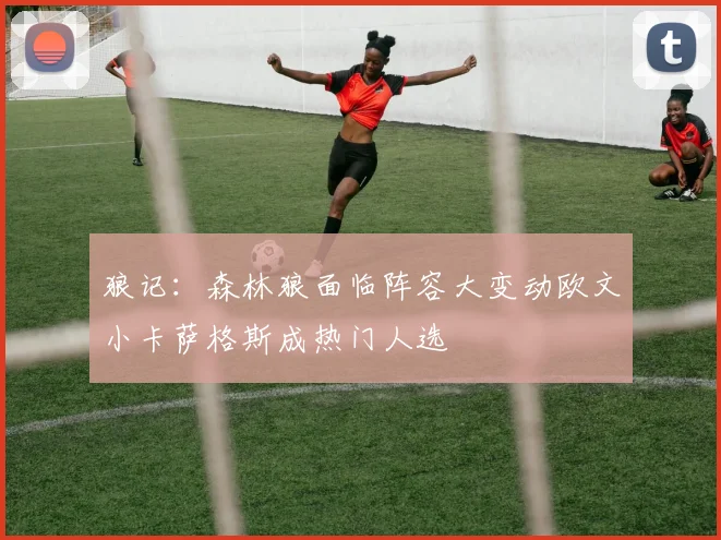 狼记：森林狼面临阵容大变动欧文小卡萨格斯成热门人选